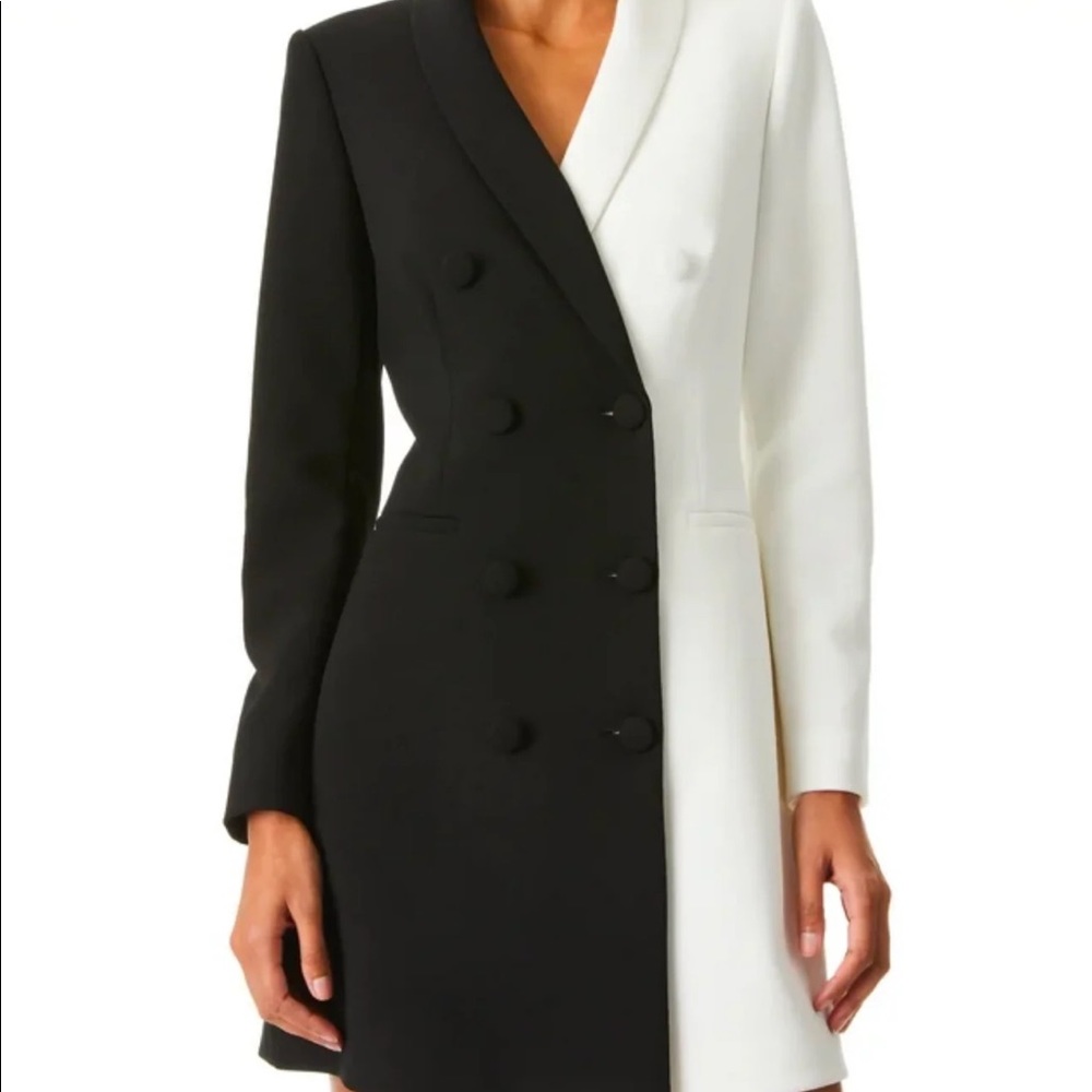 Alice + Olivia dress